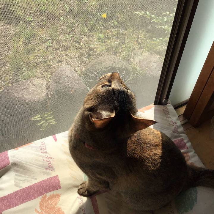 4abadf5b 66e2 4517 945c 21e63421340e 1585959940138