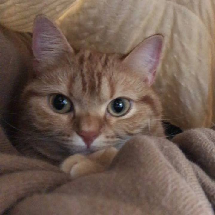 4abae050 20d7 4dfa b380 7d513c00797c 1523486277896