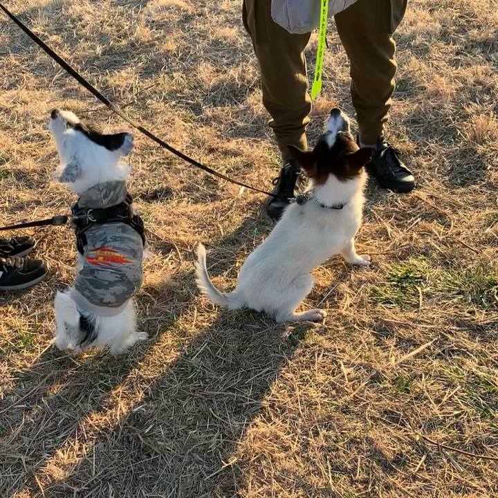 4abafb67 7f6a 4e1e 908a 900f698e3e03 1673422628517