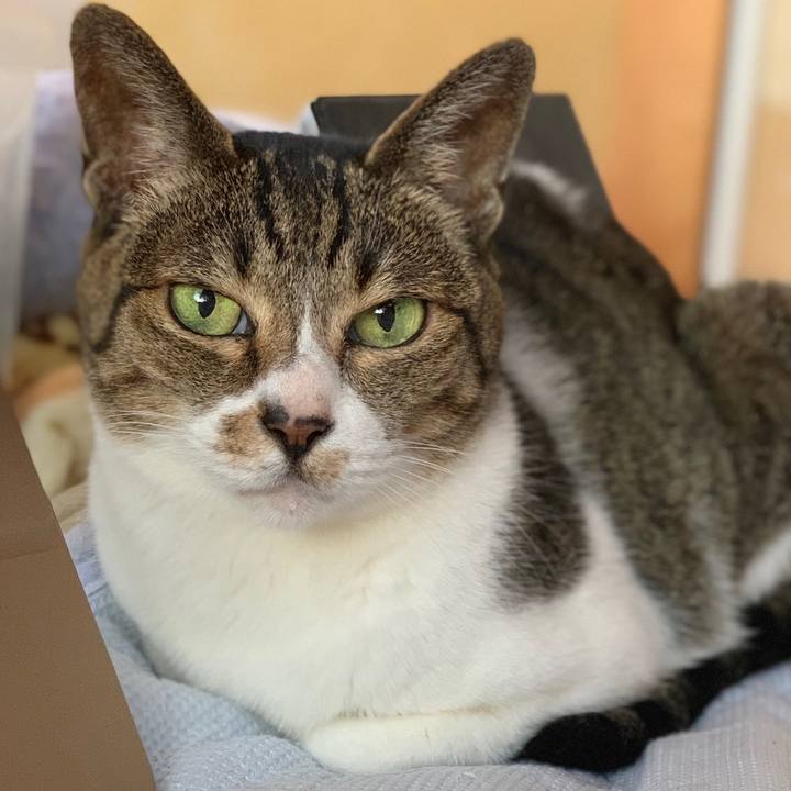 4abb16f4 efe1 46b8 abed 87b124a3334a 1558486442425