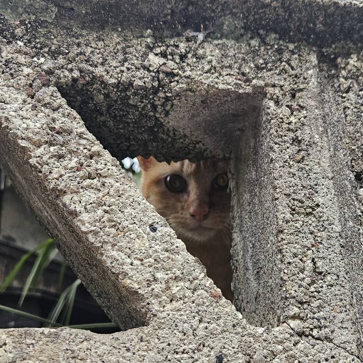 4abb27a4 230e 491c ae59 713353d81744 1741743470953