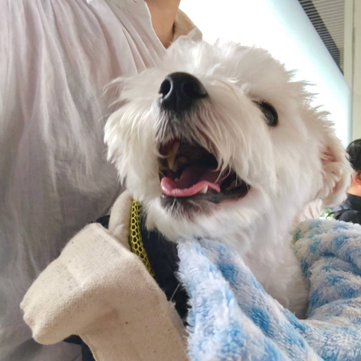 4abb3a2e a54e 4d4d bcf5 4d8b4e09fb2e 1561270138210