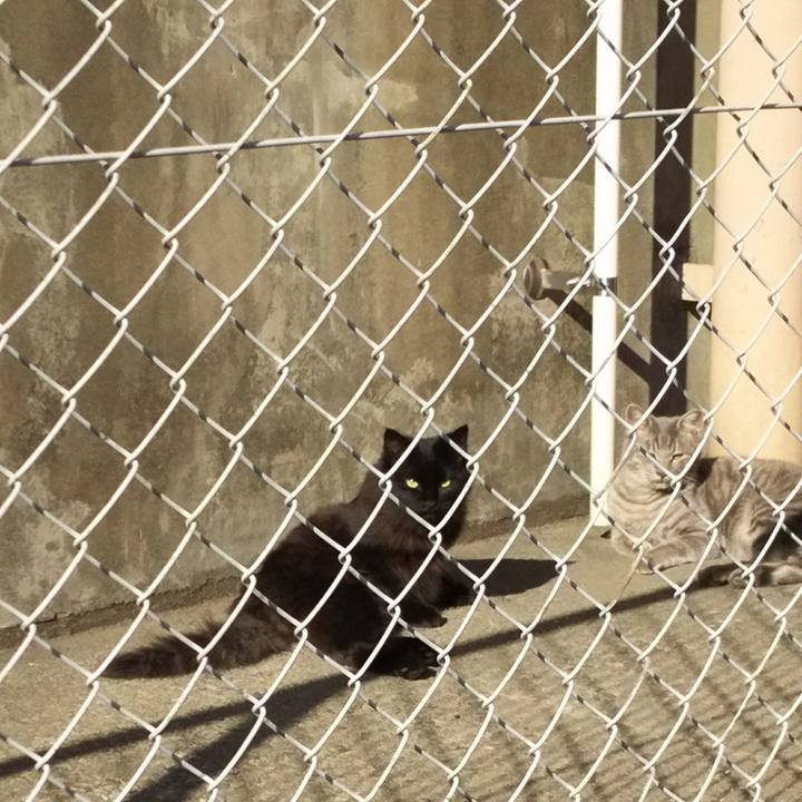 4abb6da9 a515 4a96 b46d 1e0c6d4cd7e4 1510827630818