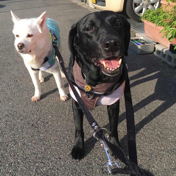 4abb8c38 0d33 4bac bf35 a66aabb534d4 1524268755182