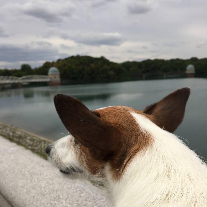 4abb9fe9 08ee 4543 bffe b2d95646ca21 1589071258416