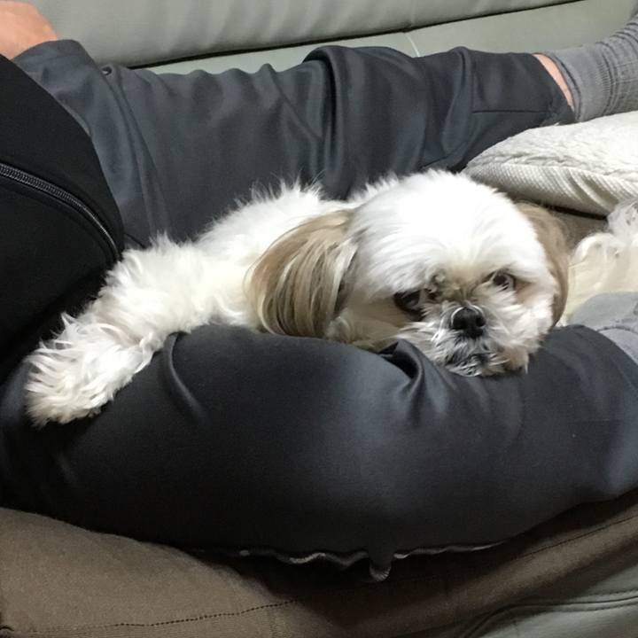 4abbb948 47f6 4950 955e 6677fea29bb8 1542844225601