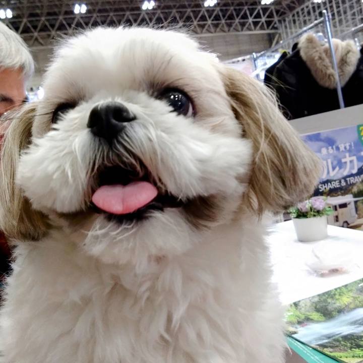 4abbcbbd fe85 497c b1cc 0736bcb9f825 1738796995452