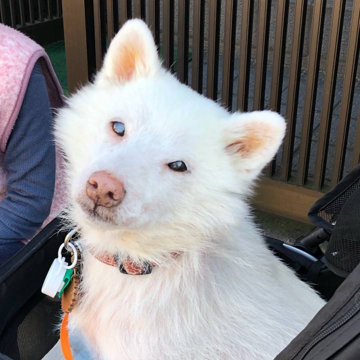 4abc1333 16a8 49c0 8e8f 75cdcb2583ff 1635773506060