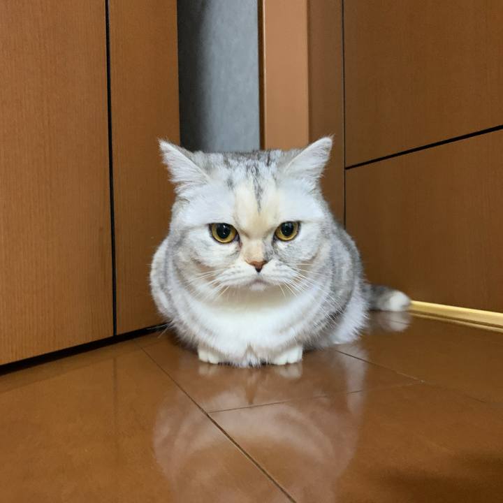 4abc441a 8425 4739 bce9 2a1687264908 1708778681782