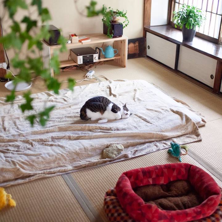 4abc8aa9 ef7d 497b 998d d704d2ea23d8 1583375134348