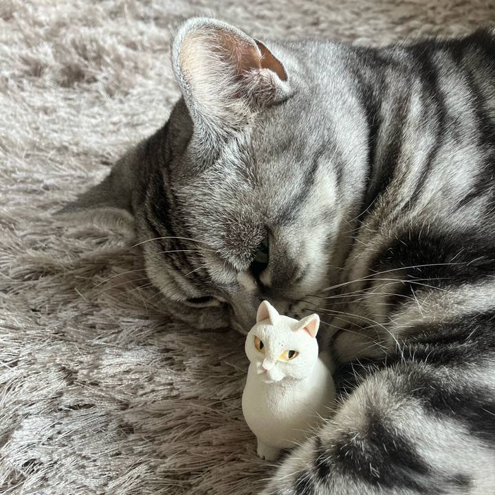 4abc9a81 1ea7 49e5 84f6 69dbb15fb0f3 1762127510295