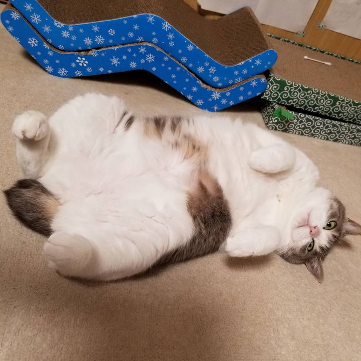 4abcd449 86b1 40c2 a53e 881bc8190299 1622375108961