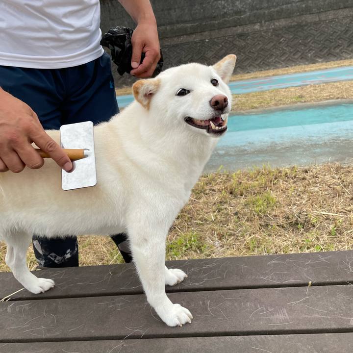 4abd0084 59fe 4ce2 8b54 12dce765ed06 1654877062387