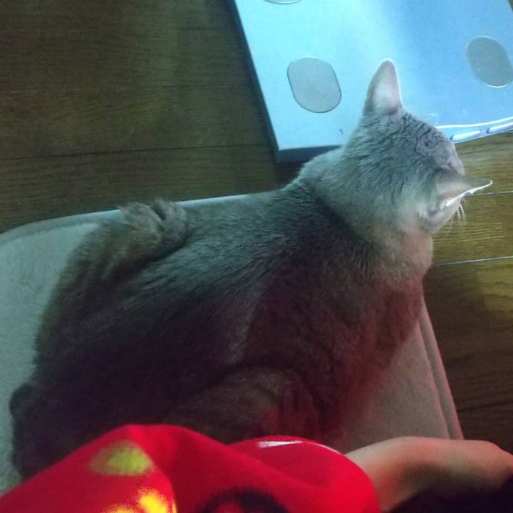 4abd36a8 4af3 47da a737 2268d112cfb5 1611440347421