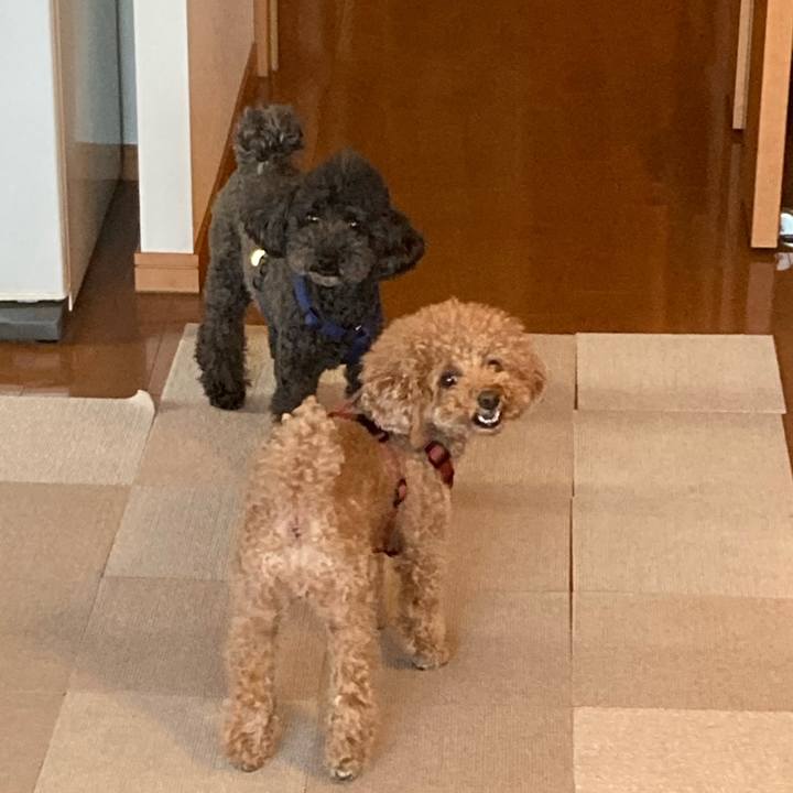 4abd599d 65d8 459b ae1b dec88dc0e92f 1626201054814