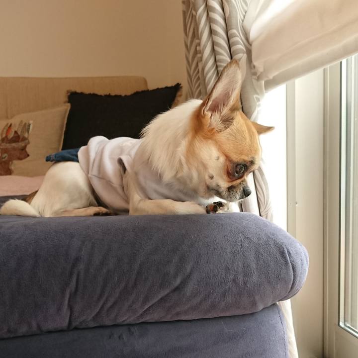 4abd6131 e0e9 43dc 8a20 646236c48d2d 1556328691948