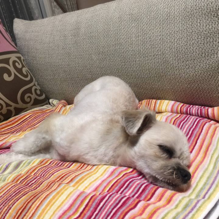 4abd7241 e9bc 4e68 b488 04c61b931d96 1533817878503