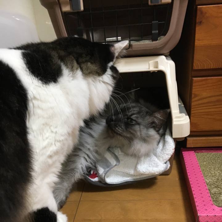 4abd7a56 479b 4e9e 91e2 4edd03968f1d 1567762889895