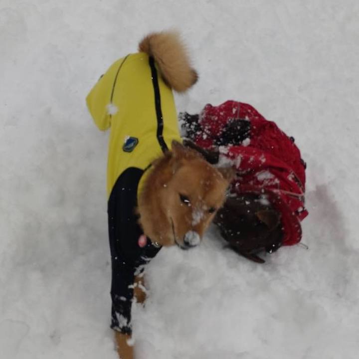 4abdbd61 a5d8 4ef3 91a9 26b7436eb1e3 1769356656154