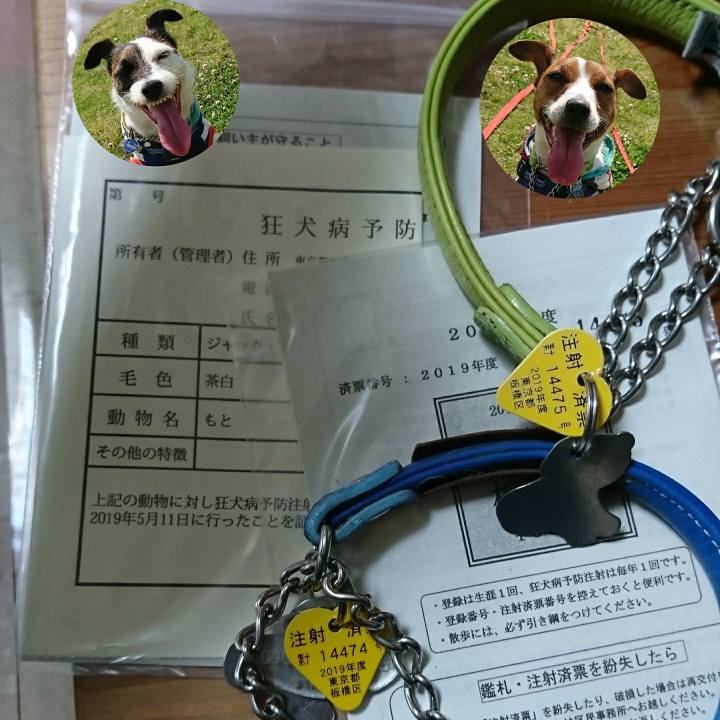 4abdbe74 a0c7 465a 8fa6 88e752560f7b 1557577718355