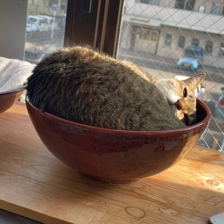 4abdc716 836c 4244 8bb7 51e2db68cd59 1740033680298