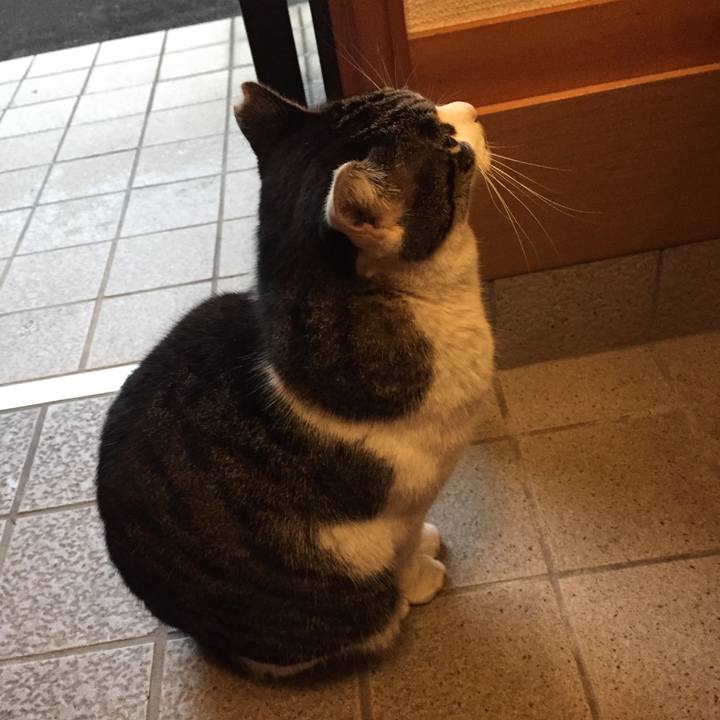 4abdce21 6f3d 4d61 b7b3 d27413ccefaf 1508410913521