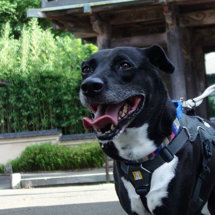 4abe735e 335e 4bd3 b756 8c49598160eb 1658964661865