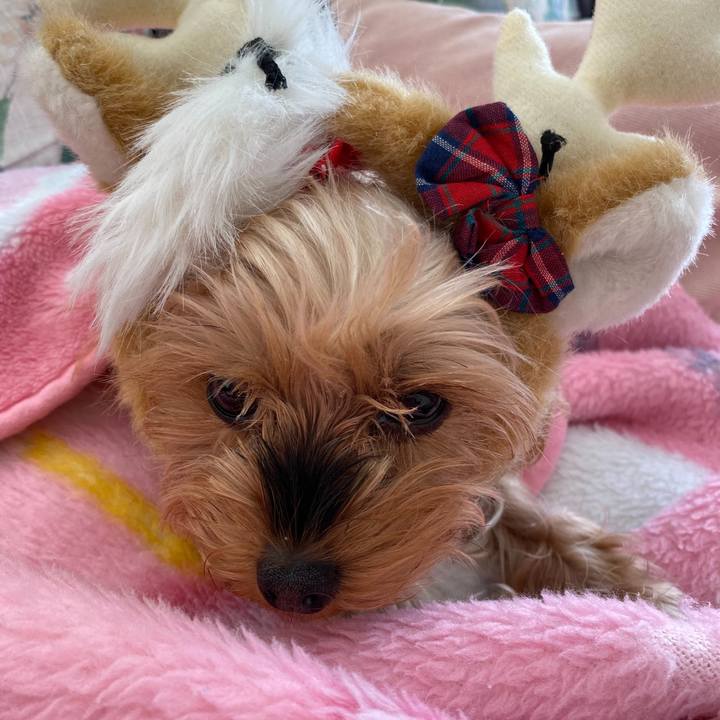 4abe8bd5 2e23 4712 9317 20d61ed0a370 1608768478549