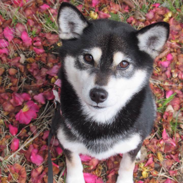 4abe9d6d f344 46f3 b16e d026a8416325 1547869720143