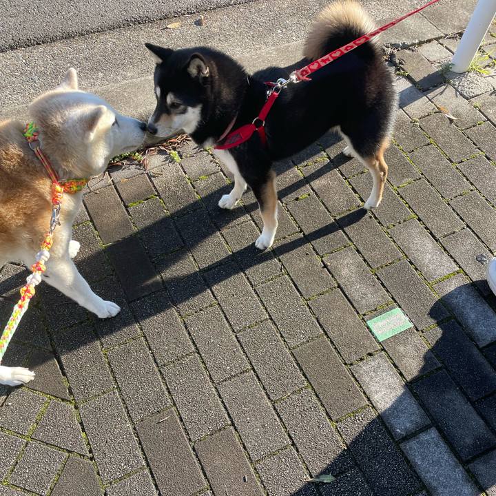 4abea53d 6787 4295 8104 102d1f240770 1671341204457