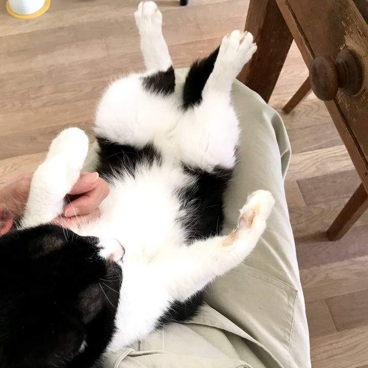 4abeb1da 6b21 4ce2 b117 055de0646b2c 1565748537209