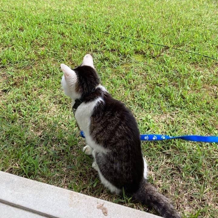 4abef56c 054a 4e1b 8e9b d636f8341886 1630590549731