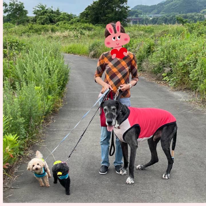 4abefce6 d424 4cdb 8b57 d77ca8ef551a 1654469664795