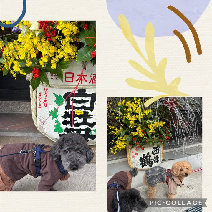 4abf3638 ca0b 473c b5e0 018578375951 1704692276812