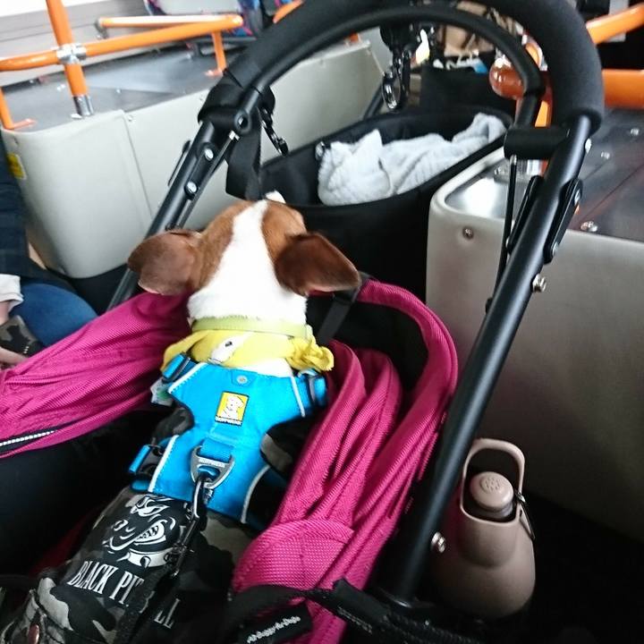 4abf46b4 7a74 4724 919f b5196e62960e 1553908151175