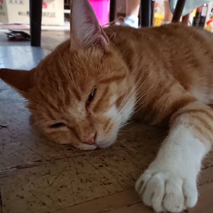 4abf57fe 97c9 4017 915a 10c3b8ae3288 1566214155676