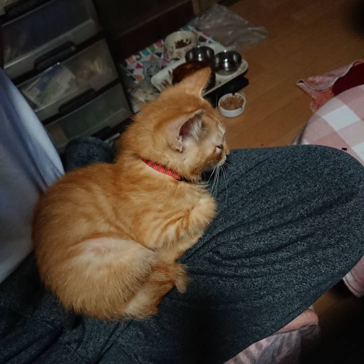 4abf650c 9dd3 4b0d 8c50 bf95bacc2025 1629929609069