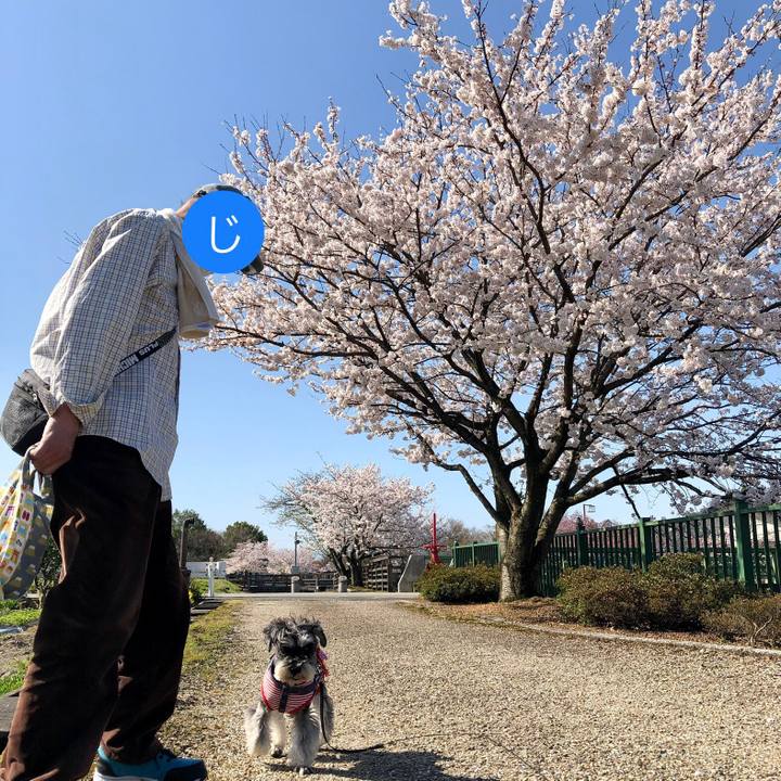 4abf7674 38d7 45f6 923e ce97bfd9c245 1649482165272