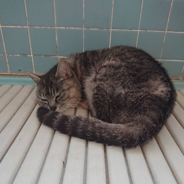 4abf8179 76a3 4003 9213 41da780d3894 1589320088092