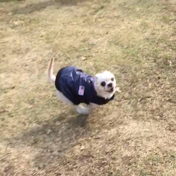 4abfbc46 2426 41c7 bcf3 c07b810729f3 1546752117016