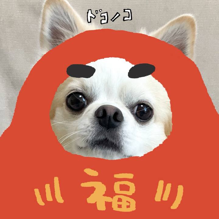 4abfcfaf c4b0 44a5 a344 3c80058f46b7 1772463738162