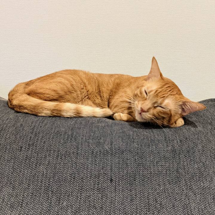 4abfde62 4c78 44e8 9187 46a28a8159fa 1634470533013