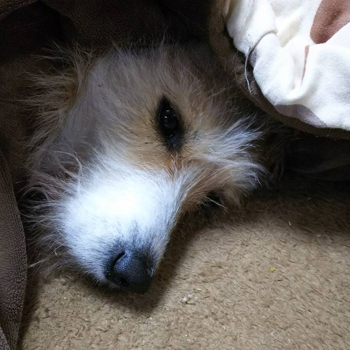 4ac00826 eb39 4cde a6fe a67930a650c6 1516742704681