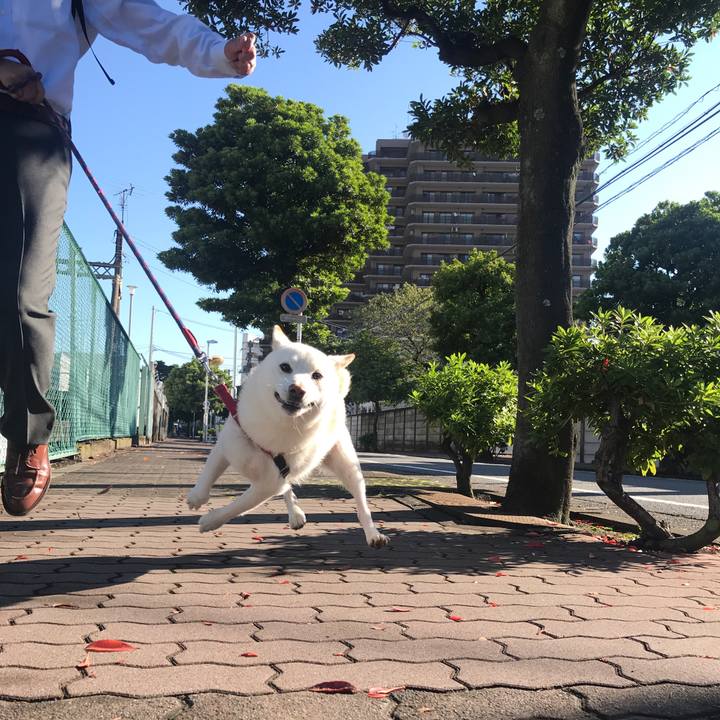 4ac03474 7fd2 47a5 9dd0 5a4320fa8d72 1538091050705