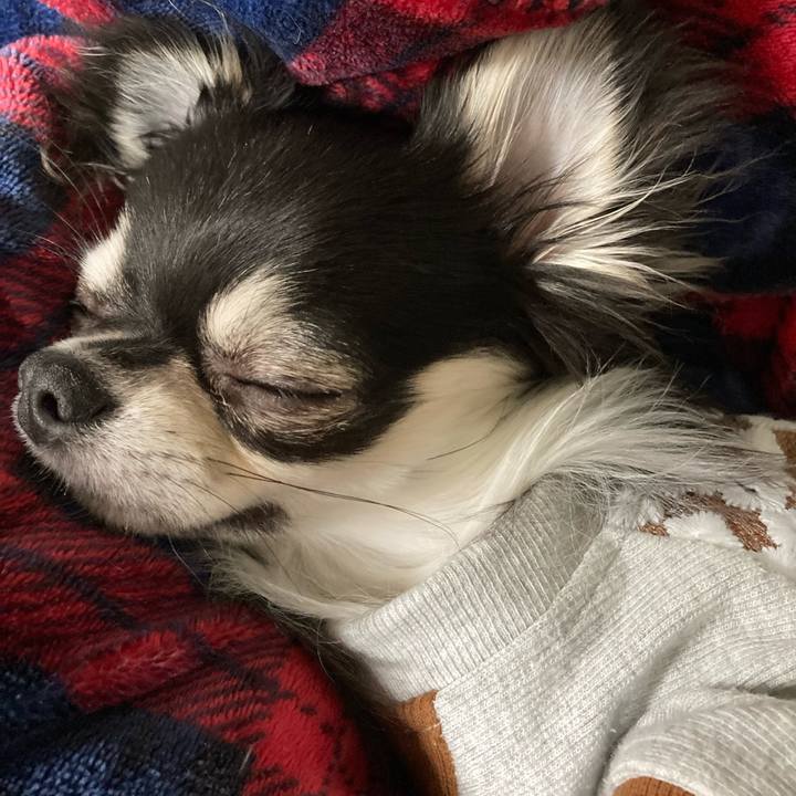 4ac03f77 c801 4f55 8a3a 80fc1a56d045 1612101886129