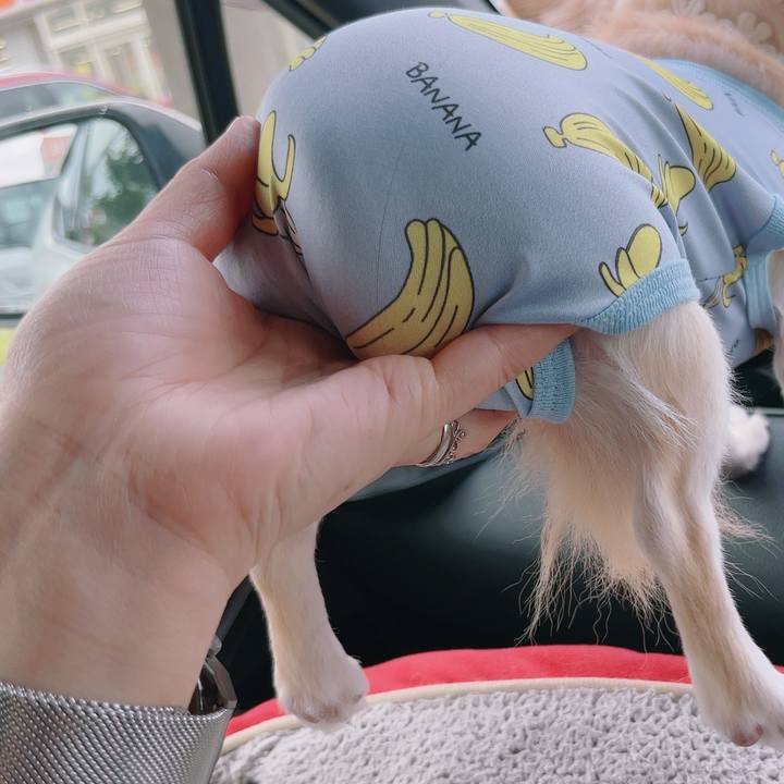 4ac05ef6 c36d 404d 8aac a4748b955d78 1757814041825