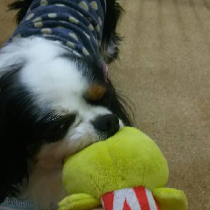 4ac08128 23a0 4c4a 8164 667520e74740 1543050380730