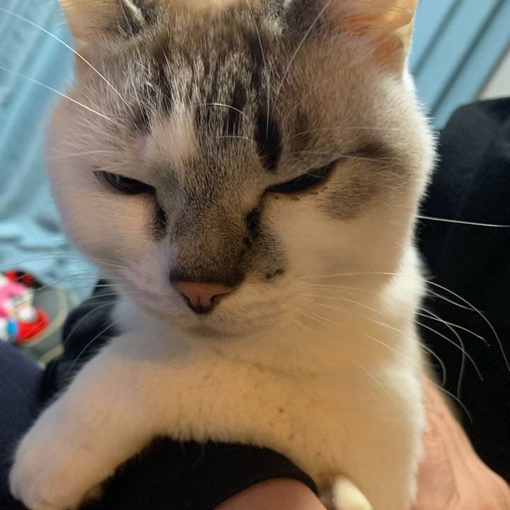 4ac08fcc ea13 48c1 89da 84ab628cf4bd 1646821849741