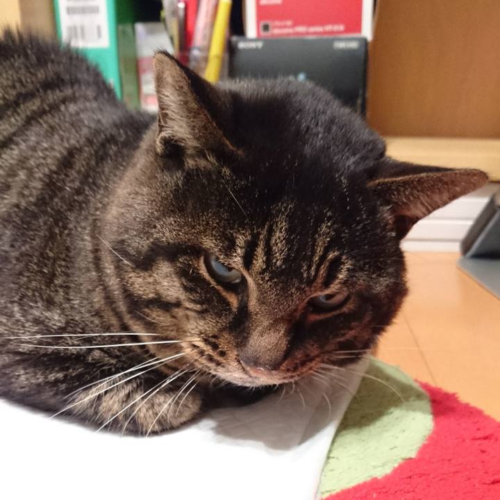 4ac097d0 1fcc 4ce9 9dda 6d525a4b8de6 1549541412172