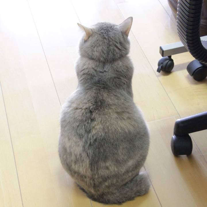 4ac0fe45 6a4e 48be 8c90 d714974e9485 1576208703627